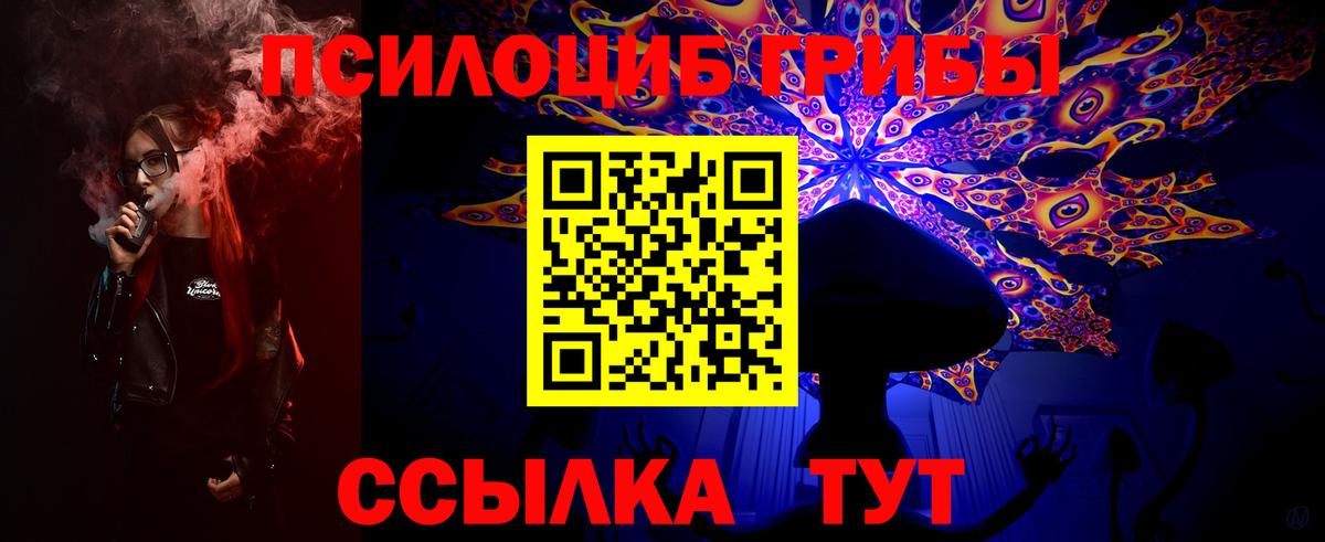 Псилоцибиновые грибы Psilocybe Выборг
